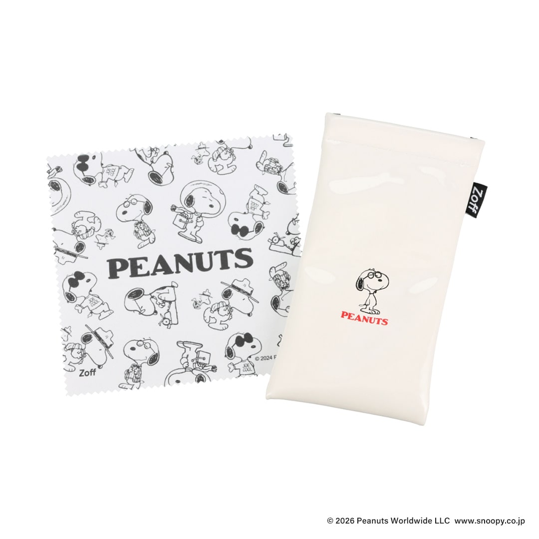 オリジナルのケースとメガネ拭き